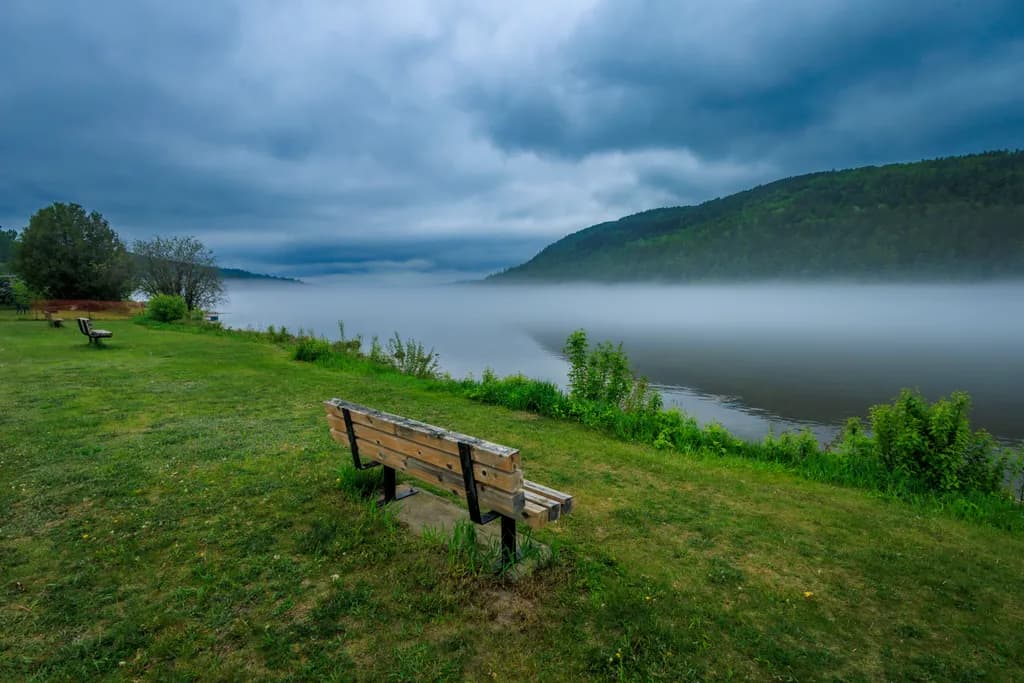 Rest by the Fog