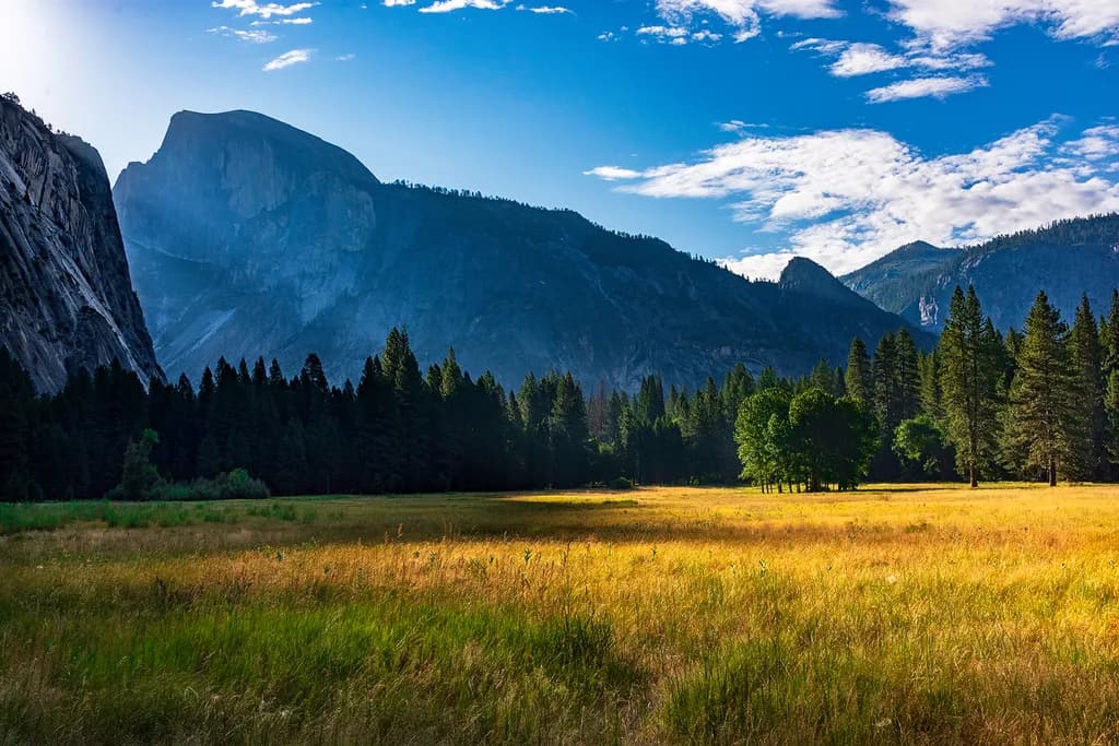 YOSEMITE HALF DOME VIEW