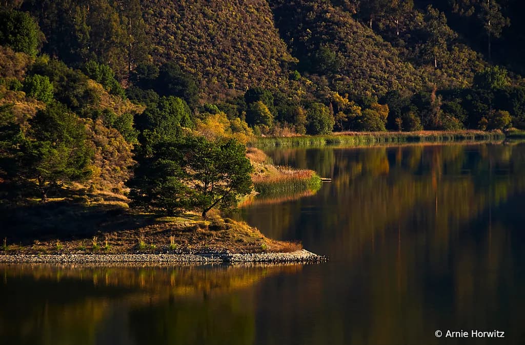 LAKE CHABOT EARLY MORNING