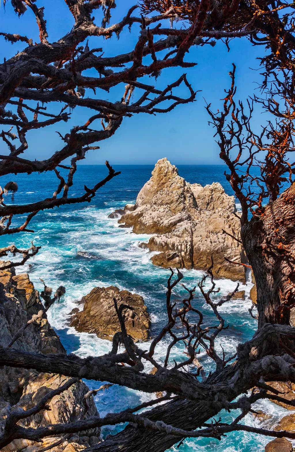 PT. LOBOS SHORELINE VIEW