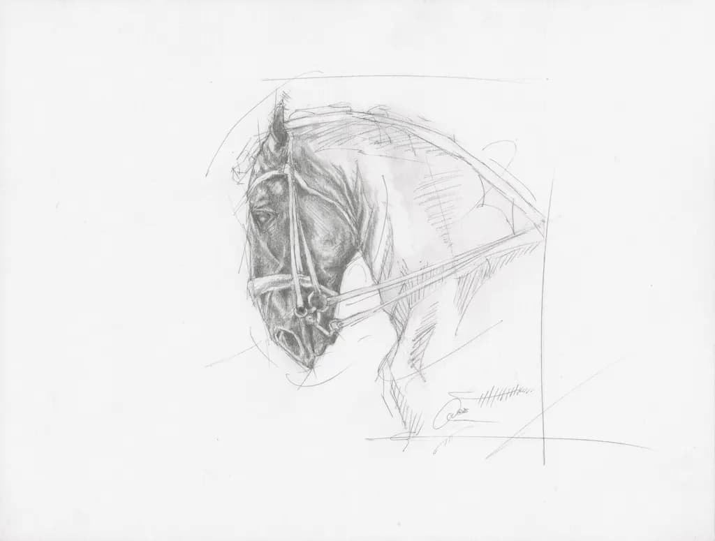 Horse Sketch