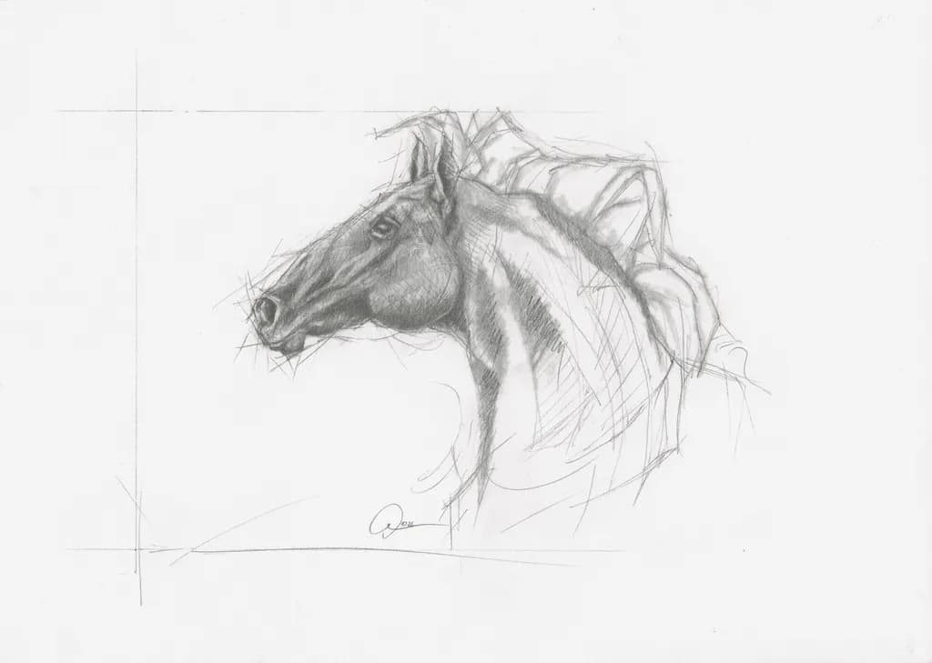 Majestic Monochrome: A Detailed Portrait of a Horse in Sketch Form