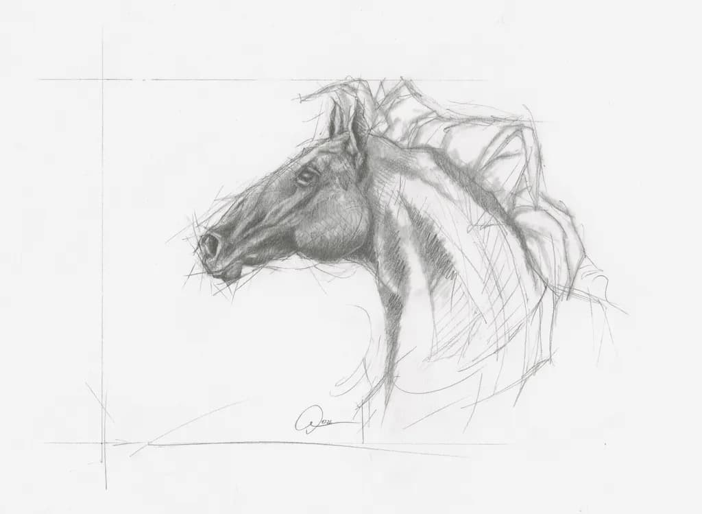 Majestic Equine Portrait: A Captivating Sketch of Strength and Grace