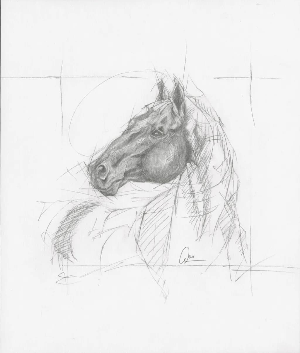 Majestic Equine Essence: A Detailed Pencil Study of a Horse's Head
