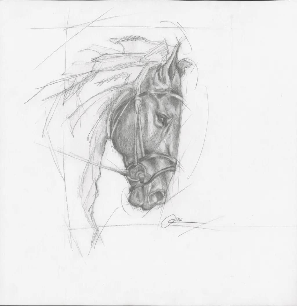 Majestic Monochrome: A Detailed Portrait of Equine Grace