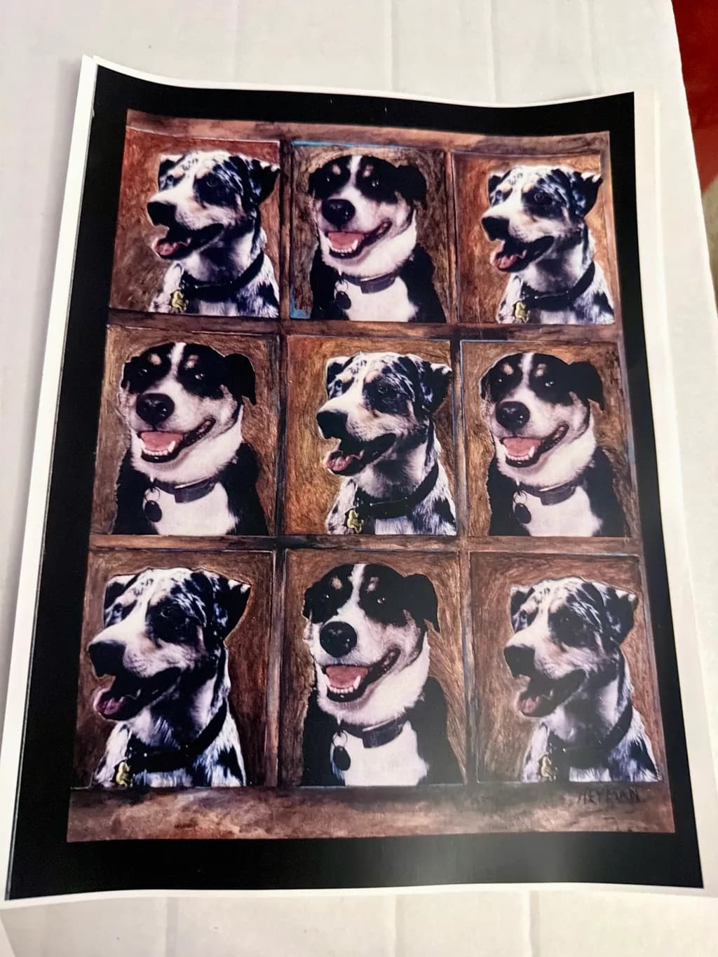 Dog Portrait Grid