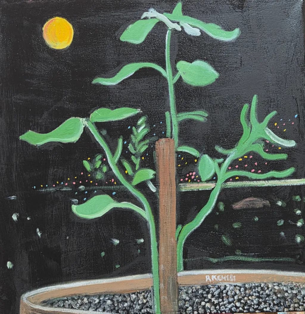 Potted Plant at Night