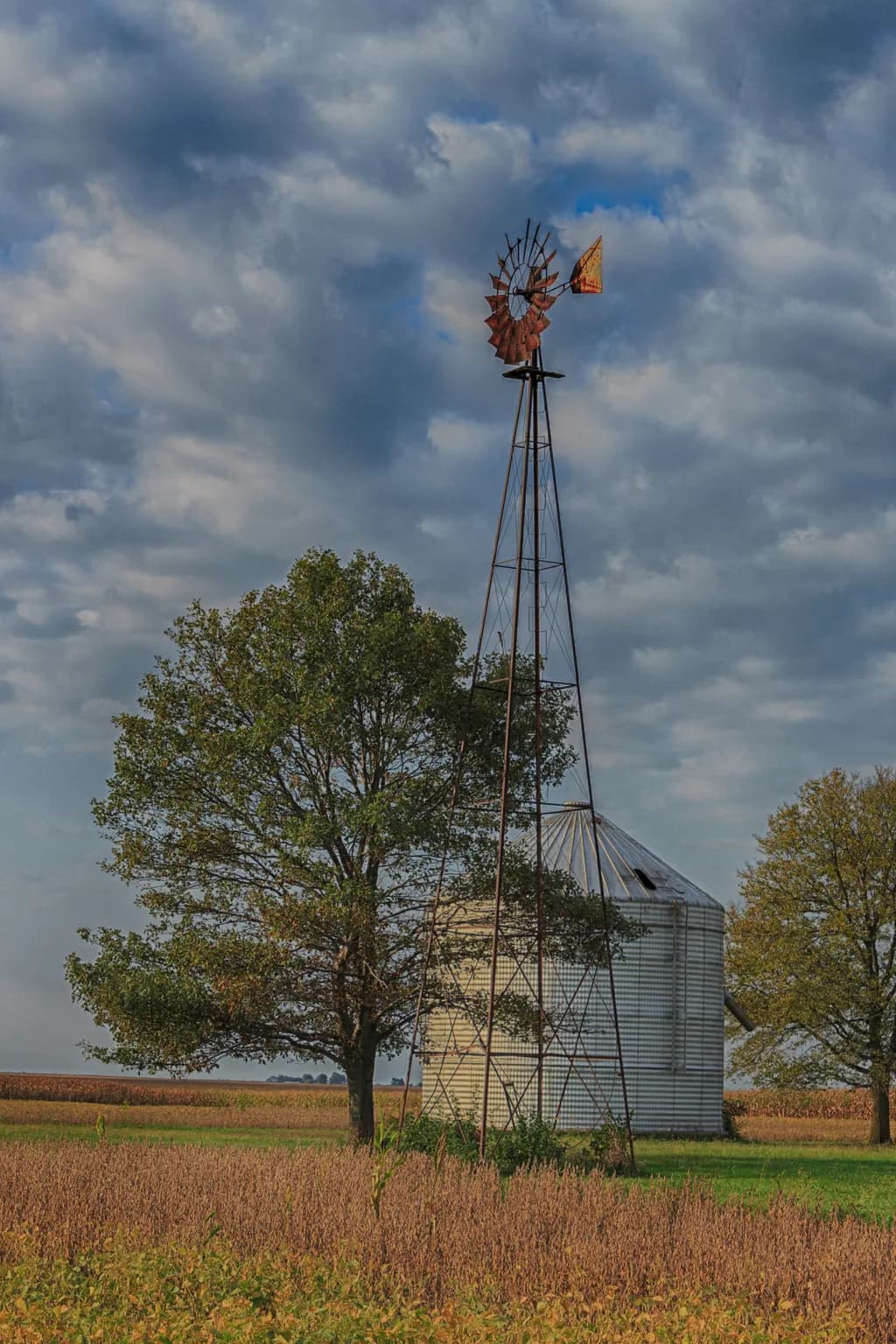 Rural Windmill Legacy