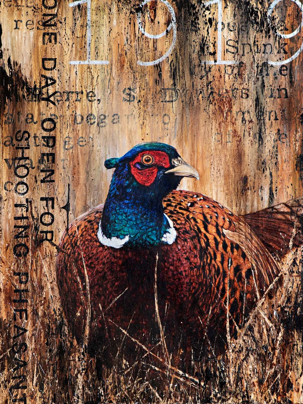 Vintage Pheasant Portrait: A Textured Tribute to 1919 Hunting Heritage