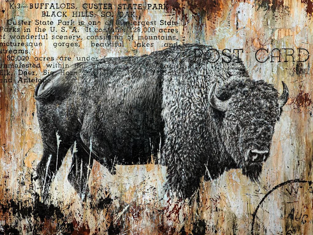 Majestic Bison: A Vintage Tribute to Custer State Park's Wild Heritage