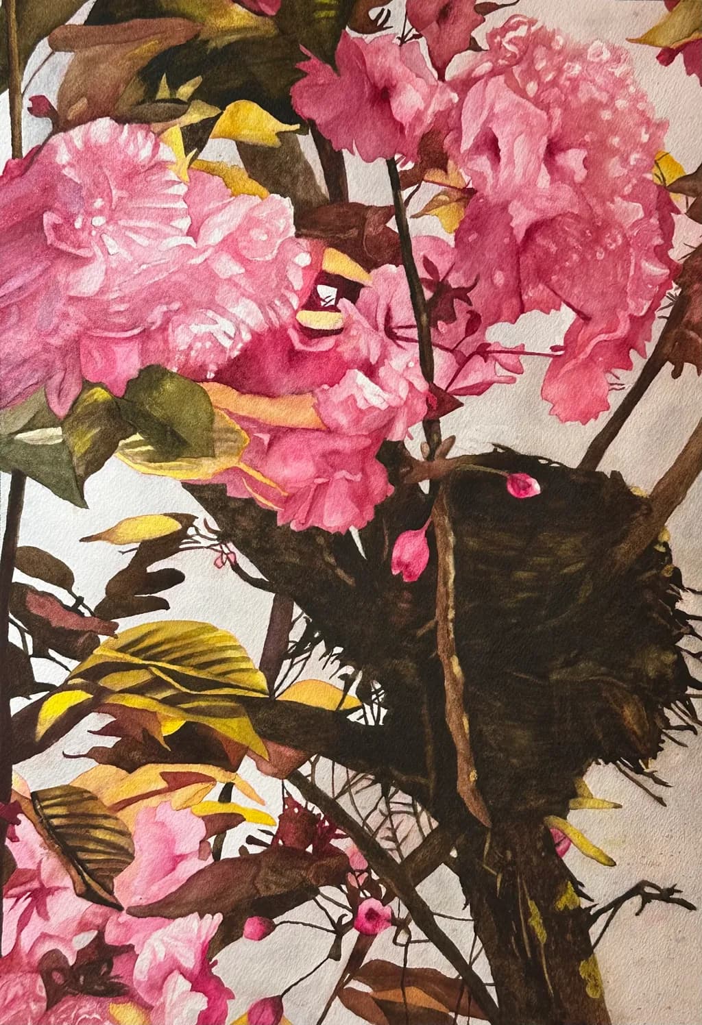 Crimson Blossom Study