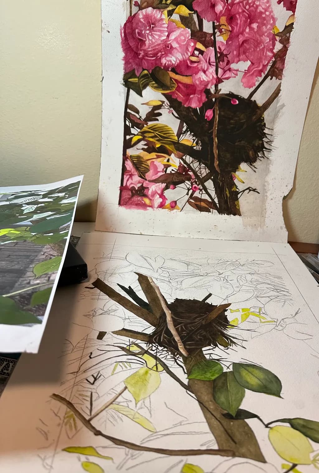 Pink Blossoms and Bird Nest