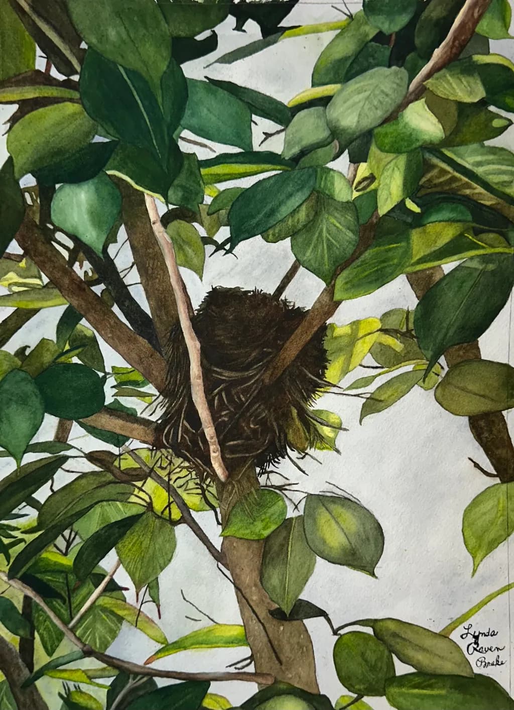 Nest in the Foliage