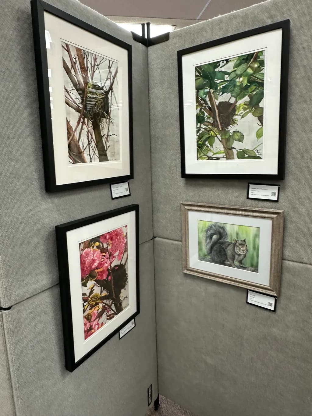Nests, Blossoms, and Squirrels