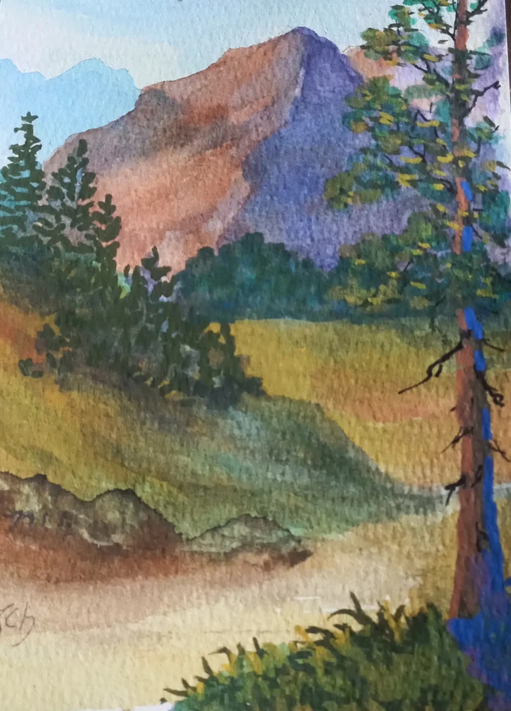 Mountain Refuge