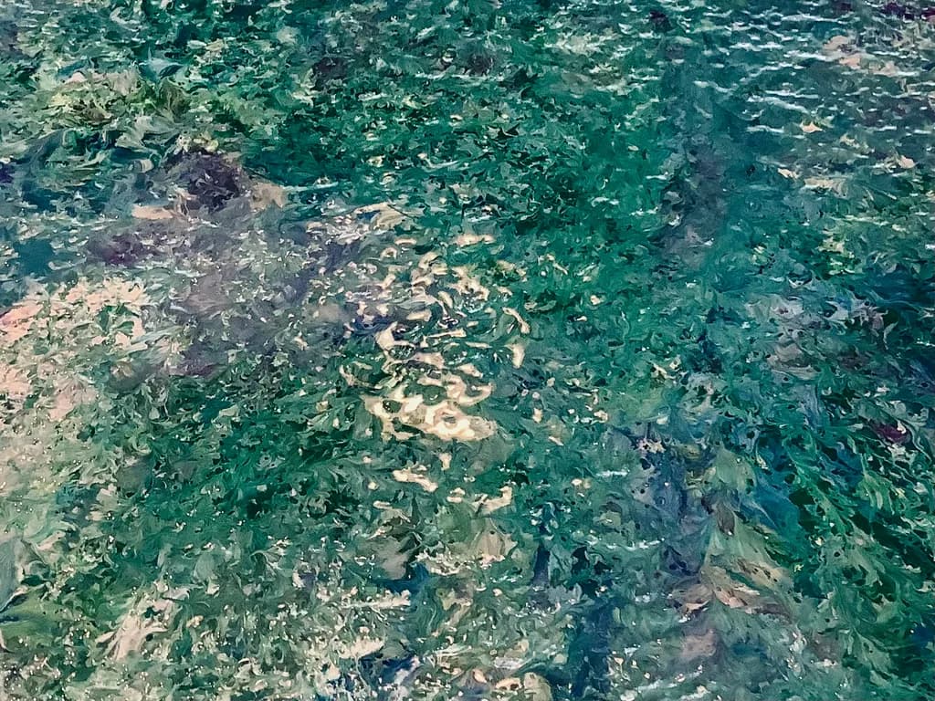 Emerald Water Texture