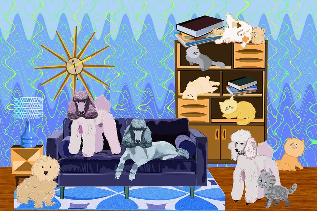Books and Animals Lounge