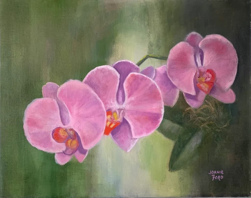 Whispers of Pink: A Serene Orchid Embrace