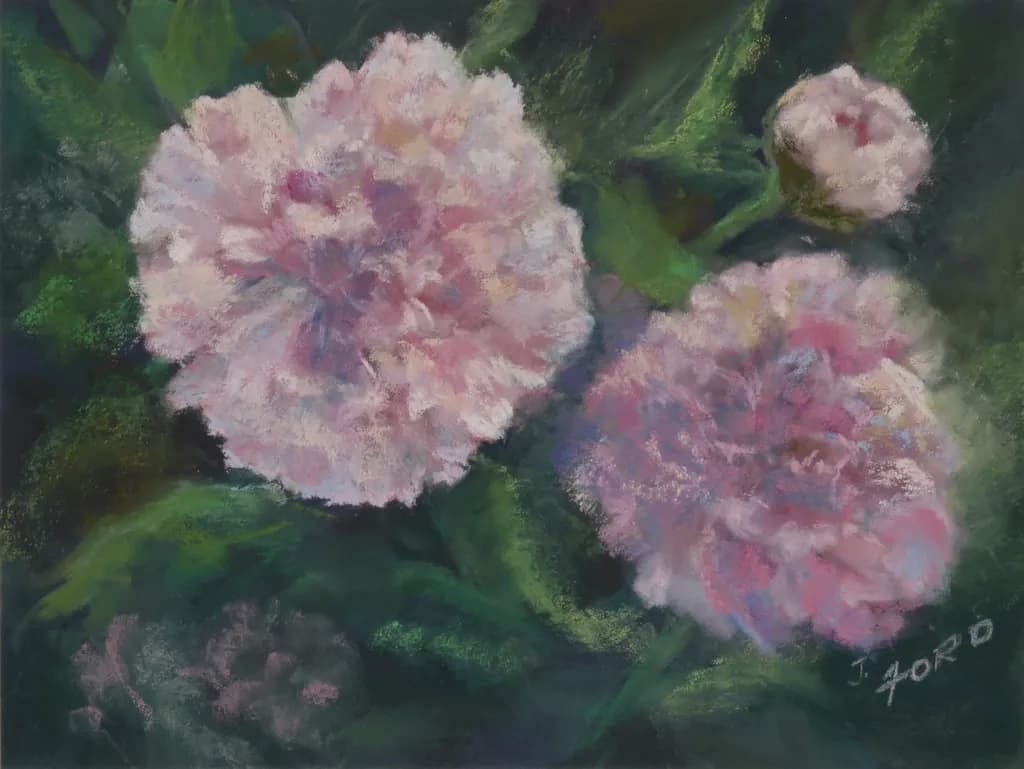 Softly, the Peonies