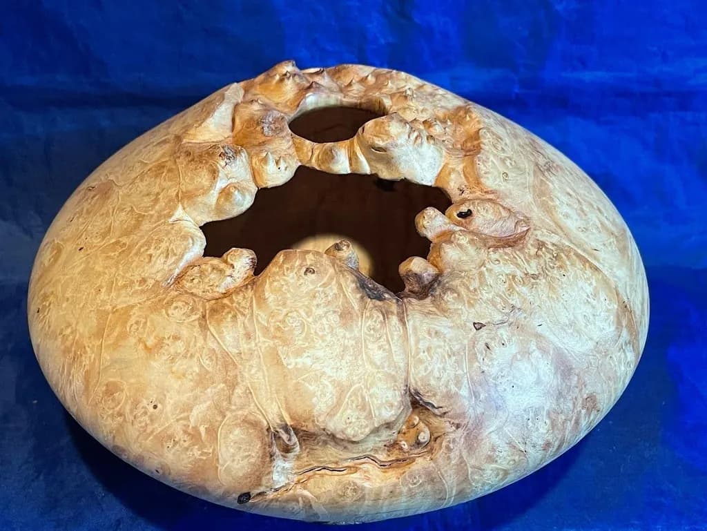 Nature's Embrace: A Whimsical Dance of Wood and History in a Unique Pottery-Inspired Form