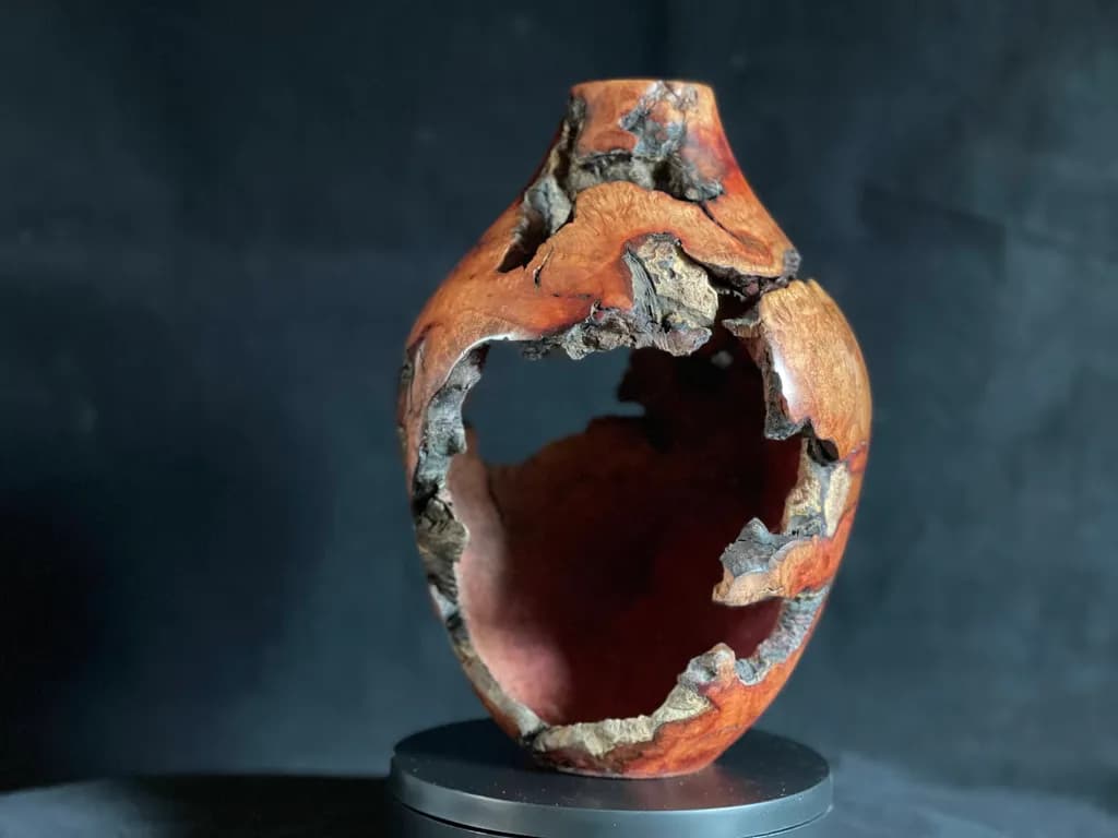 Nature's Embrace: A Whimsical Dance of Wood and History