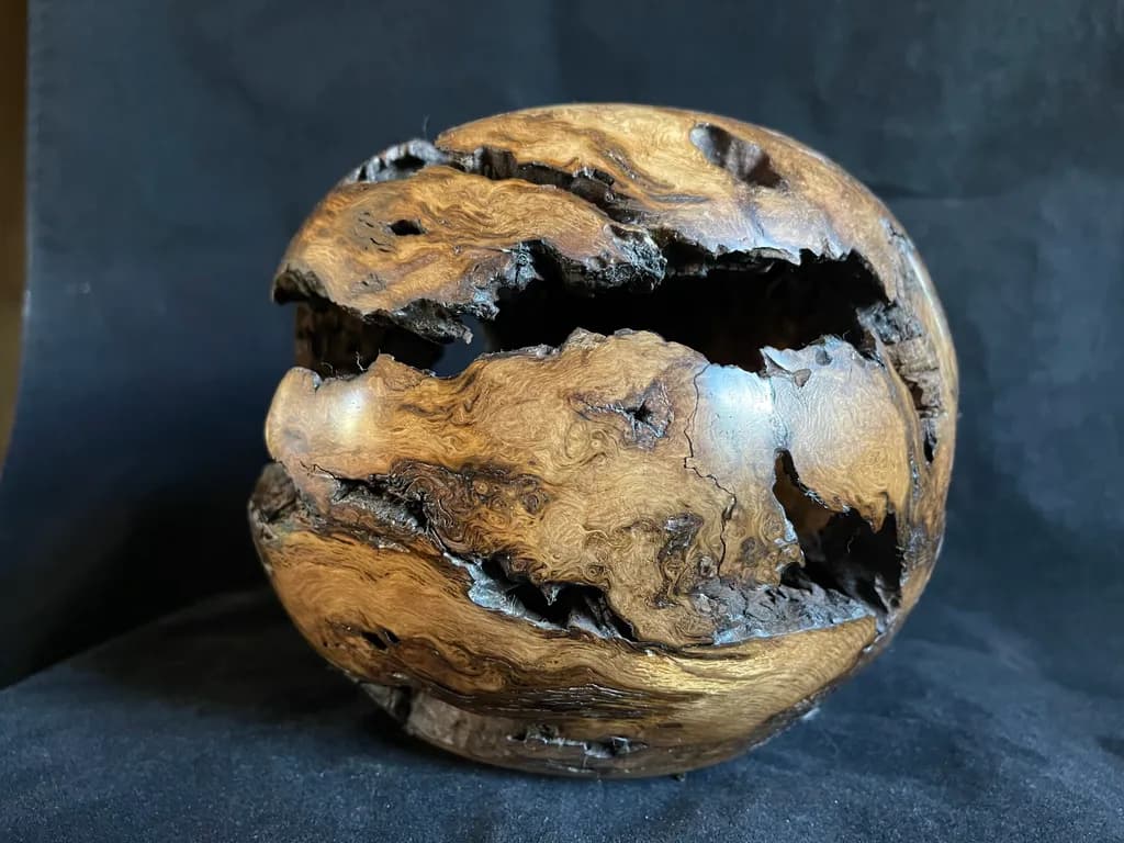 Whispers of Nature: A Sculptural Journey Through Wood's Timeless Beauty