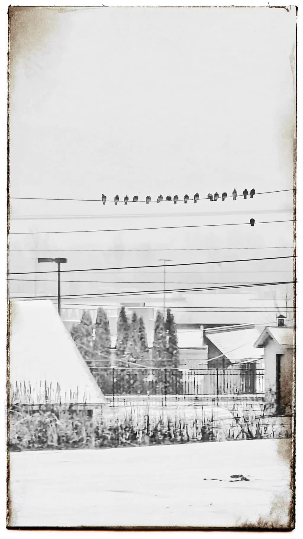 Winter's Gathering
