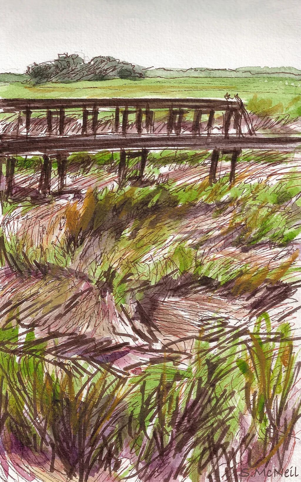 The Ebb and Flow of the Marsh