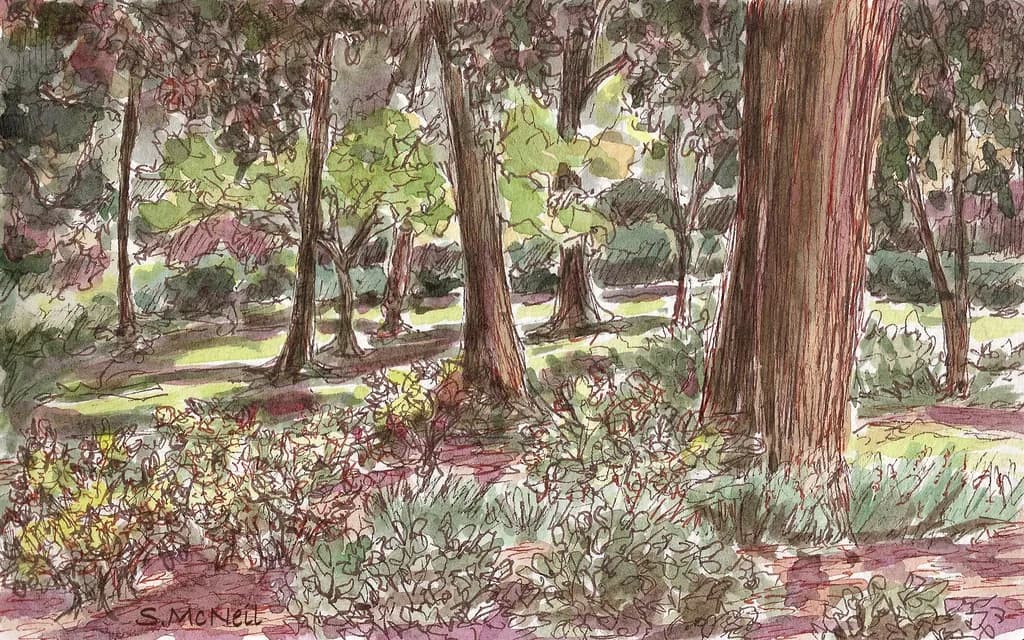 Forest Reverie