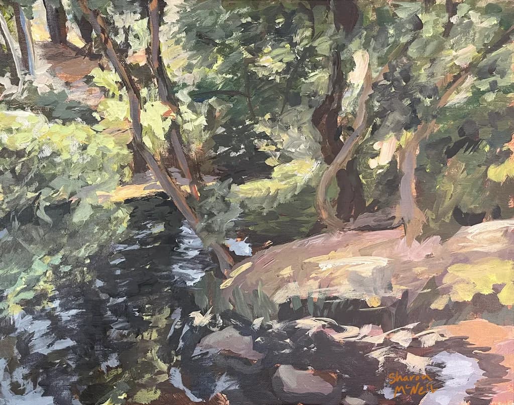 Dappled Light on Summer Stream
