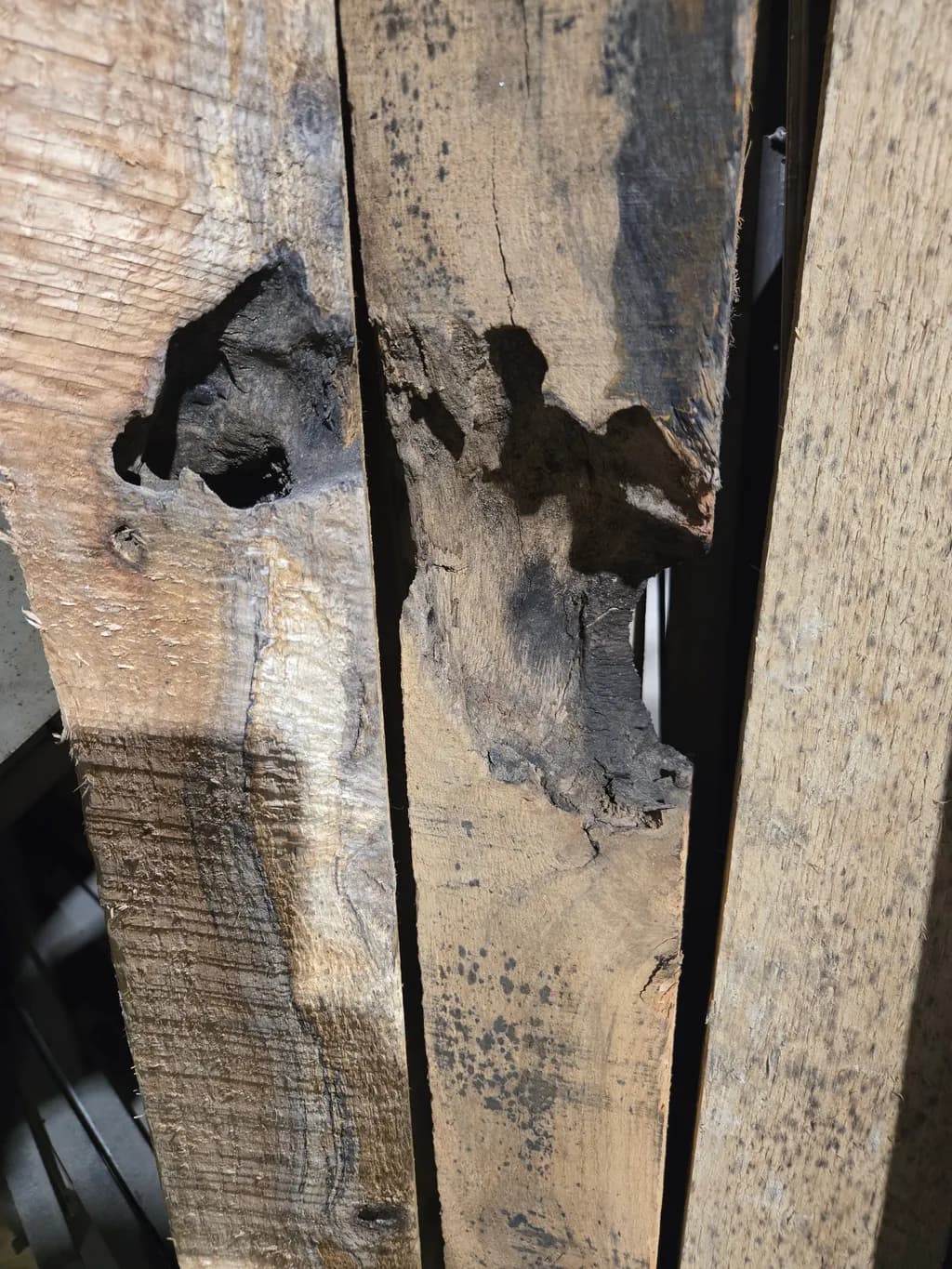 Weathered Echoes