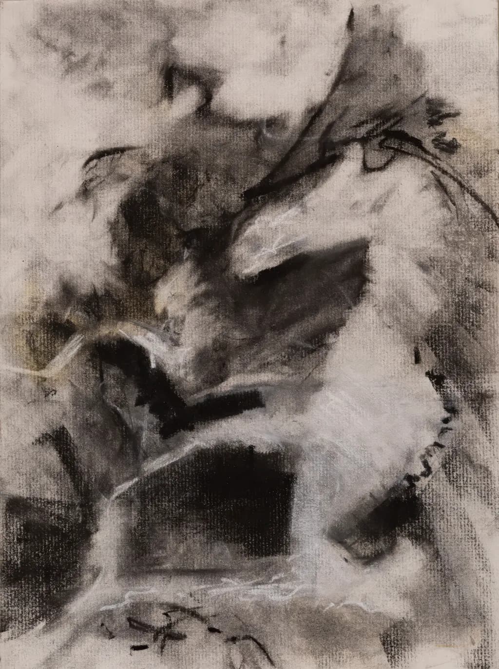 Whispers of Monochrome: An Abstract Exploration of Texture and Fluidity