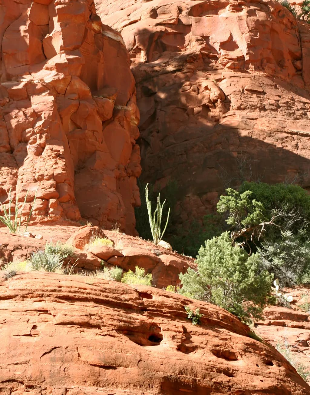 Palo Duro Canyon