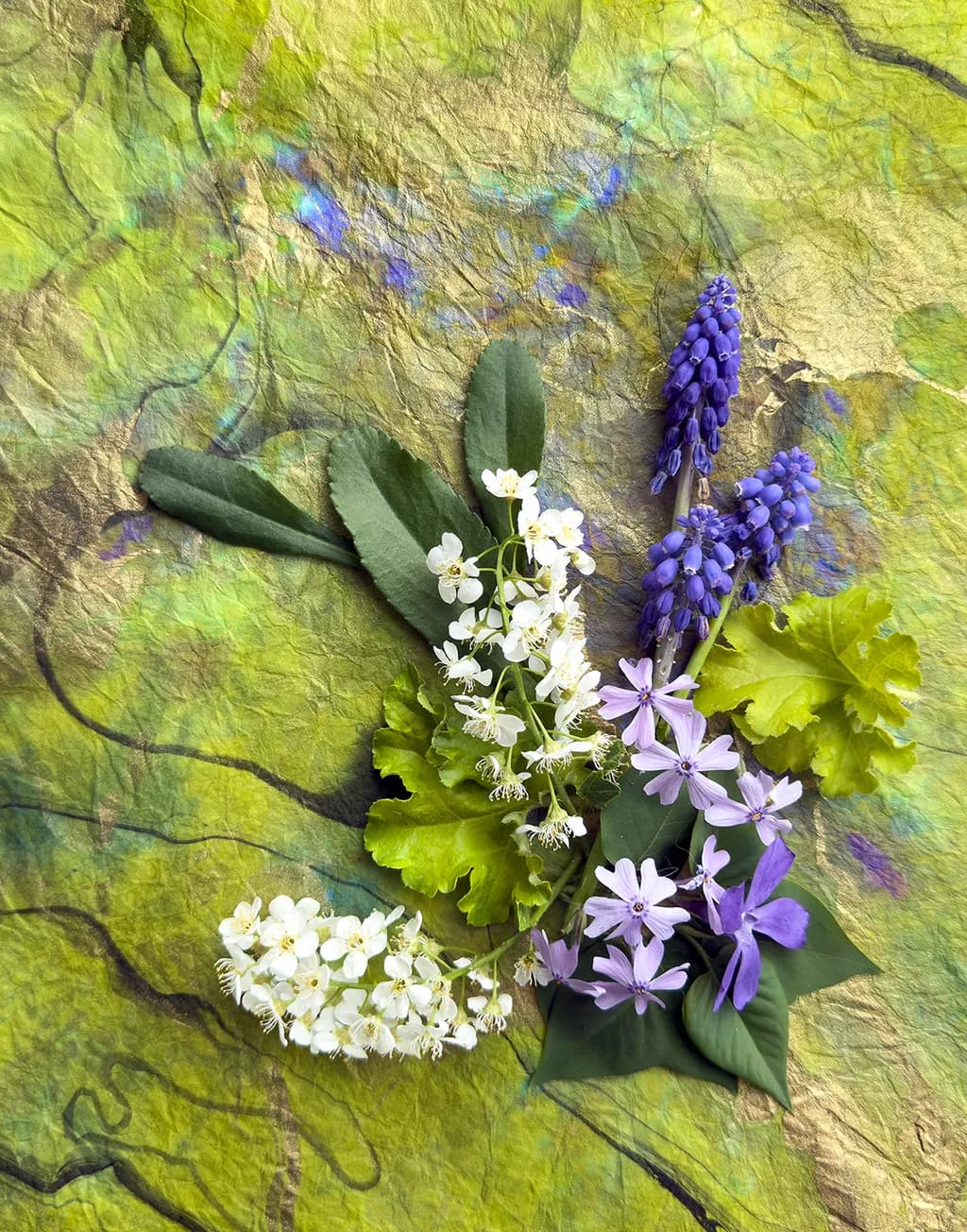 Spring Blossoms