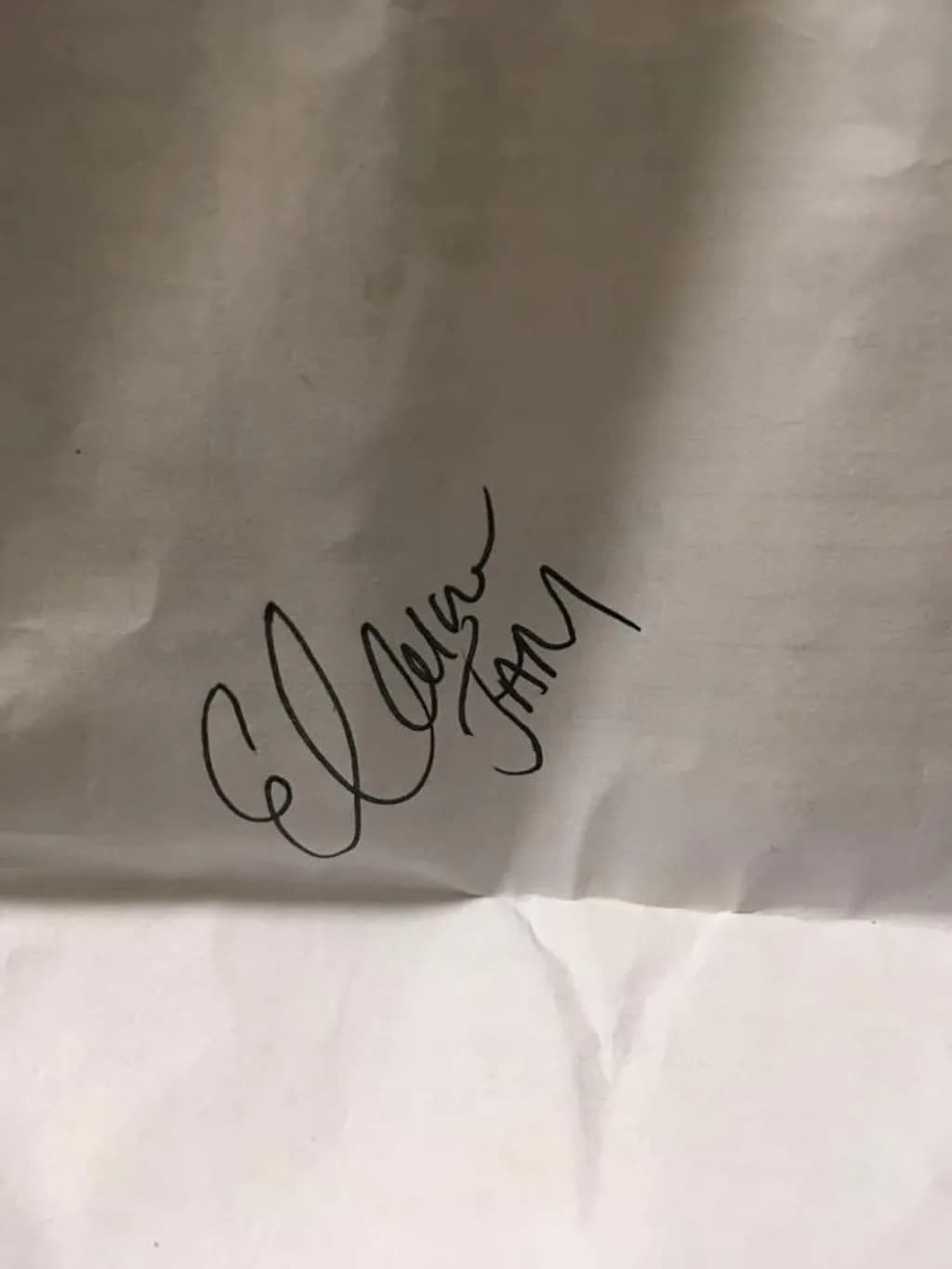 Ink Signature on Paper