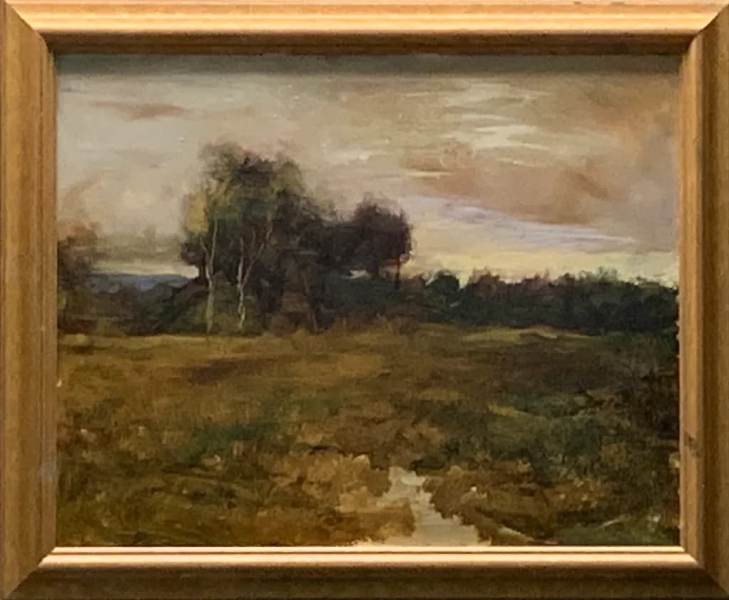 Quiet Marshland