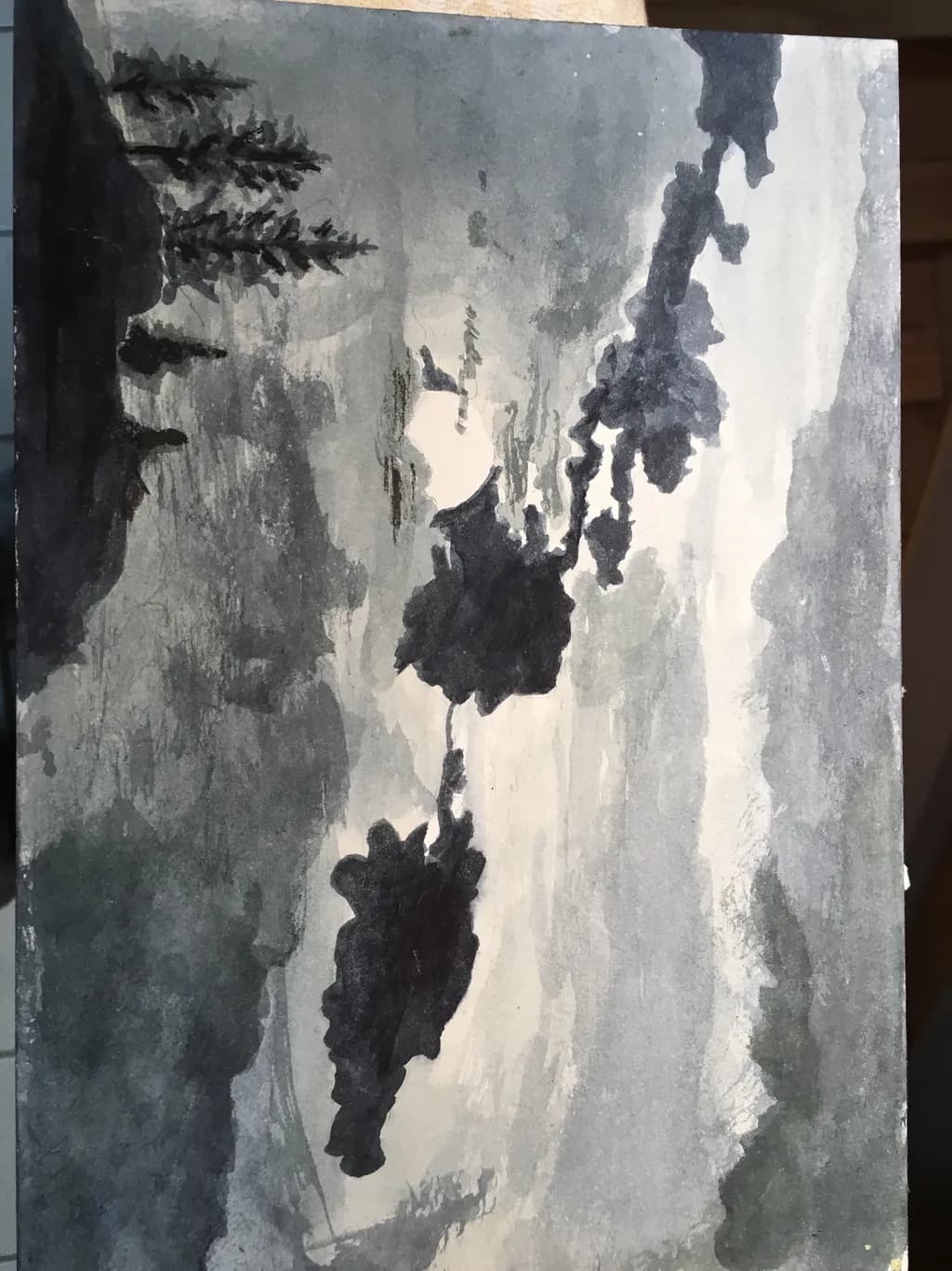 Quiet Reflections