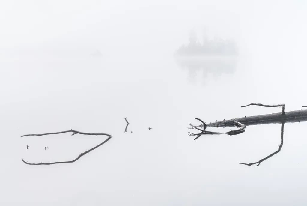 Bear Isle Fog Minimal