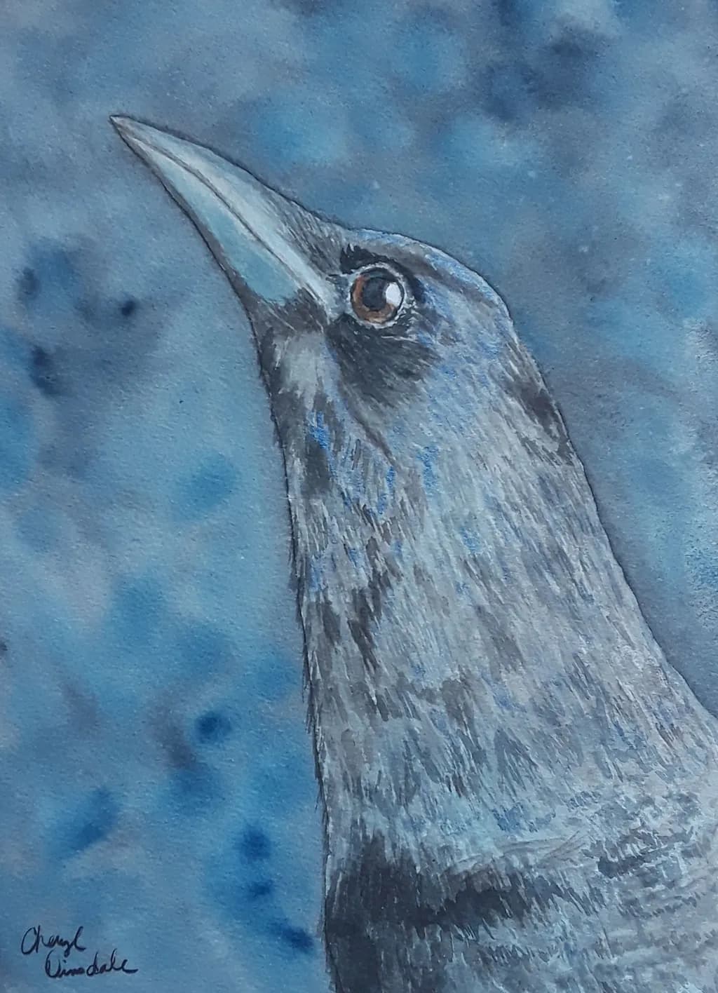 Blue Crow Gaze