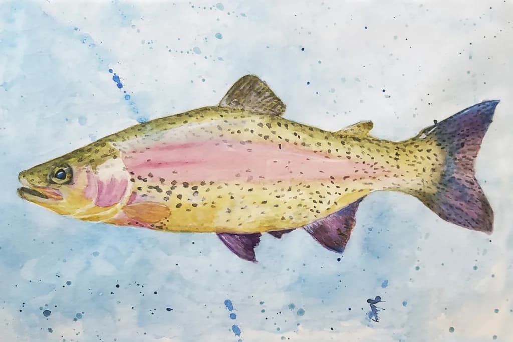 Trout Splash