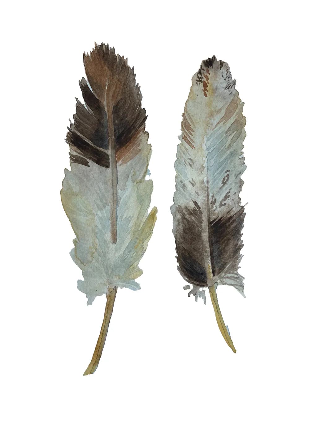 Eagle Feathers