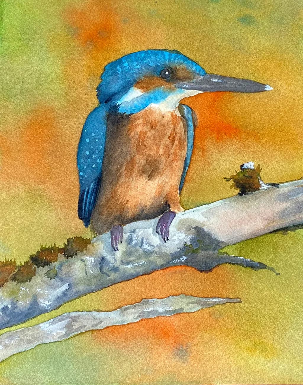 Kingfisher Perch