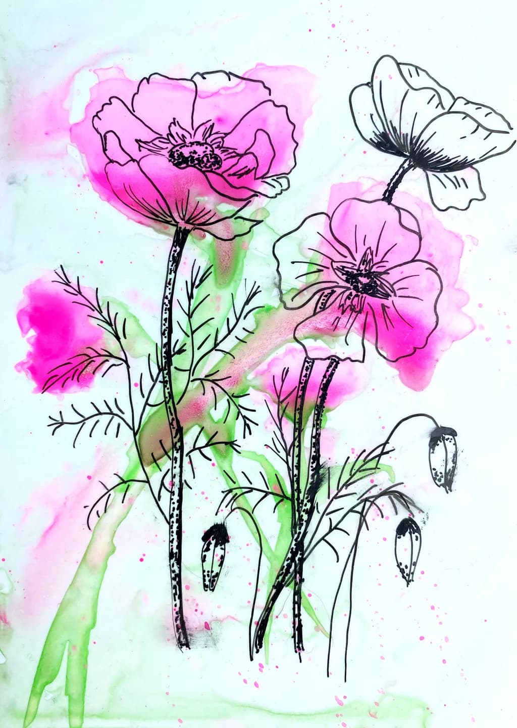Pink Poppies and Butterfly