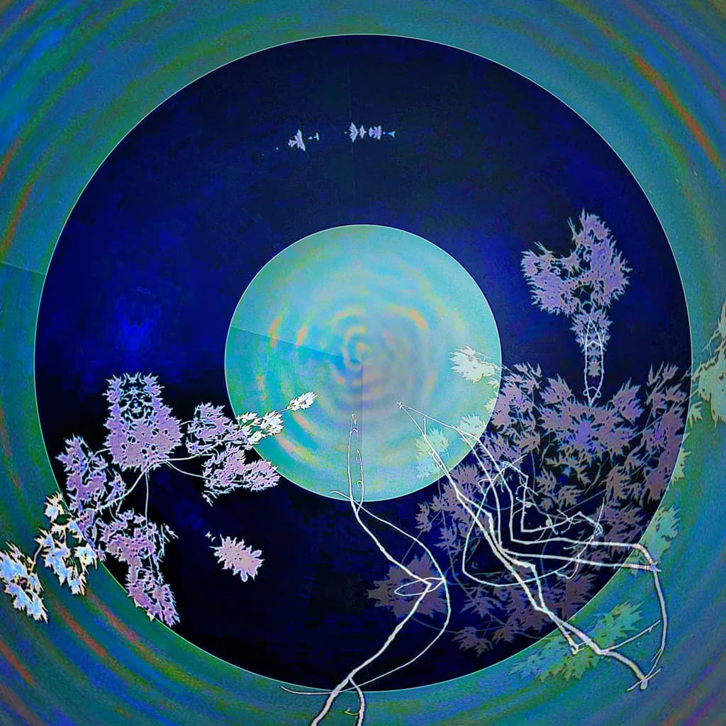 Concentric Bloom