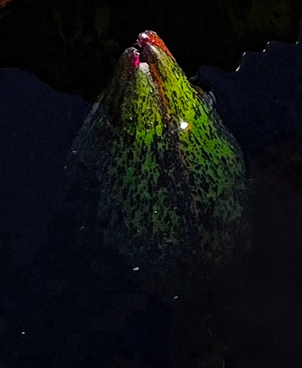 Green Bud Reflection