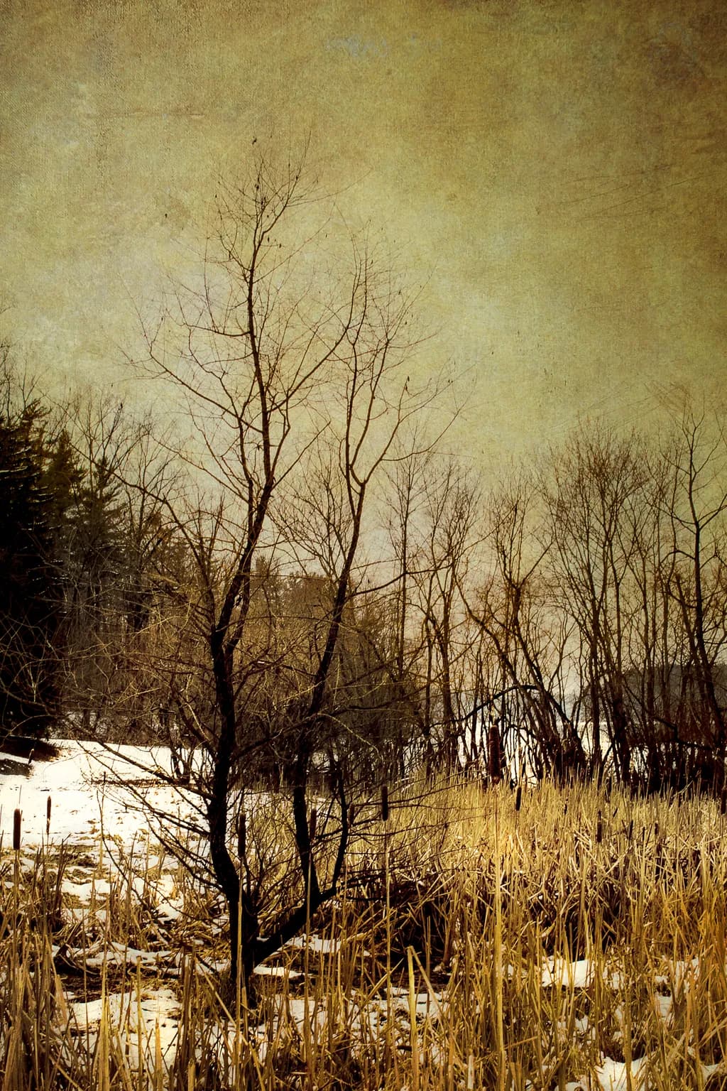 Before Spring