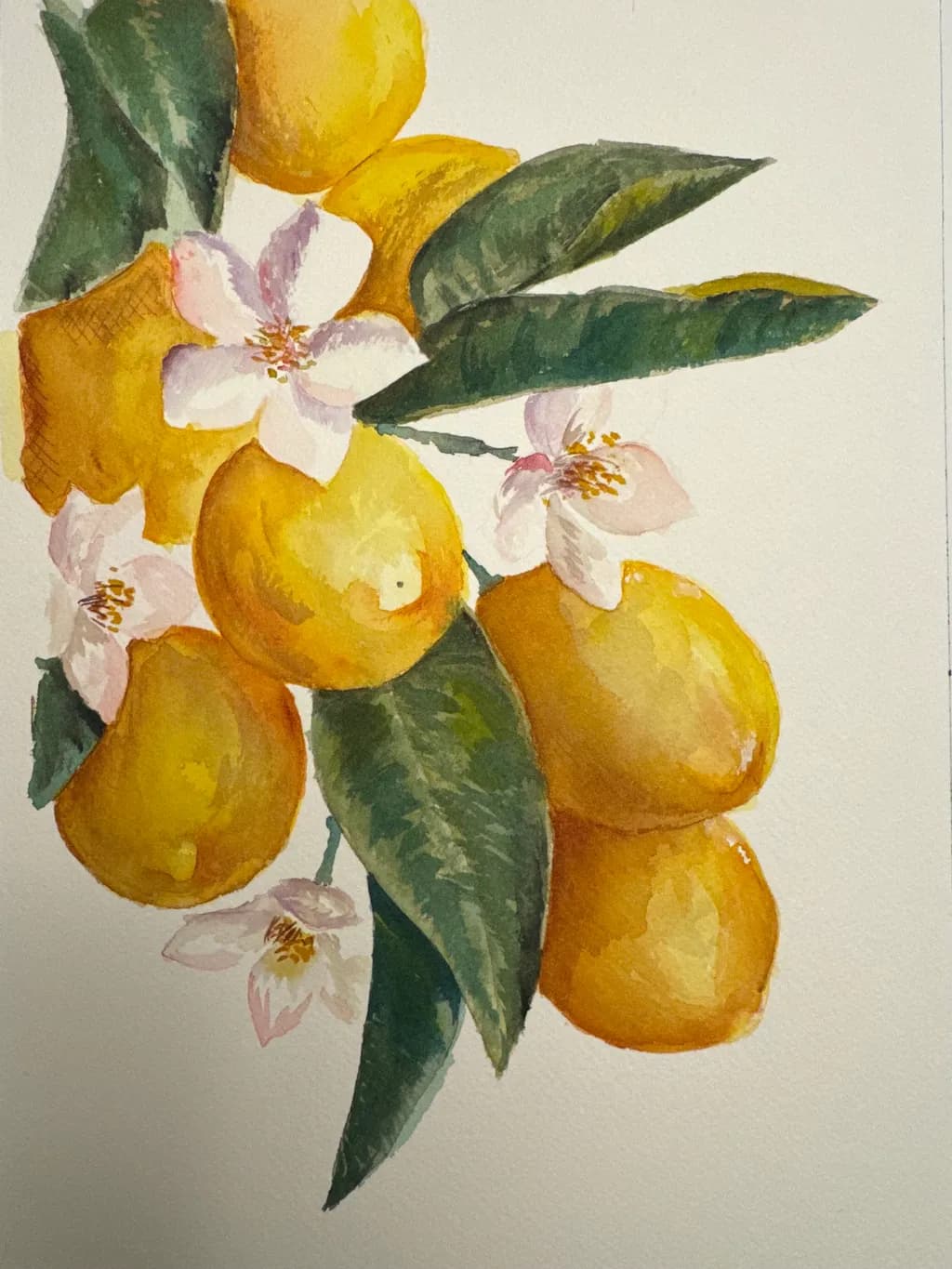 Lemon Party