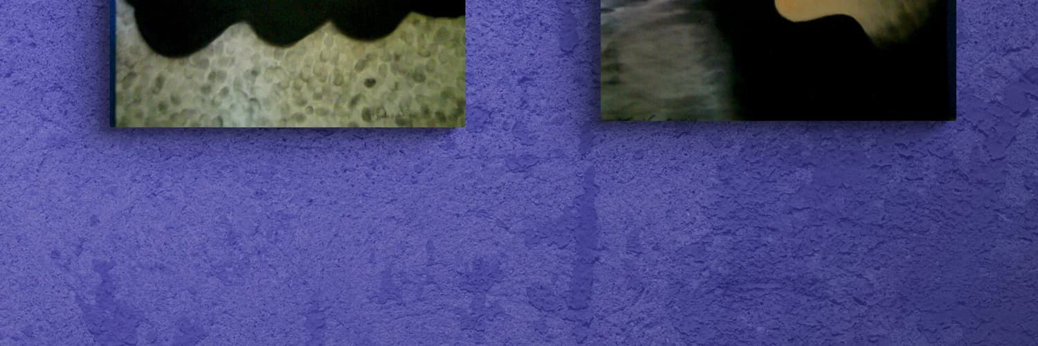 Profilbanner