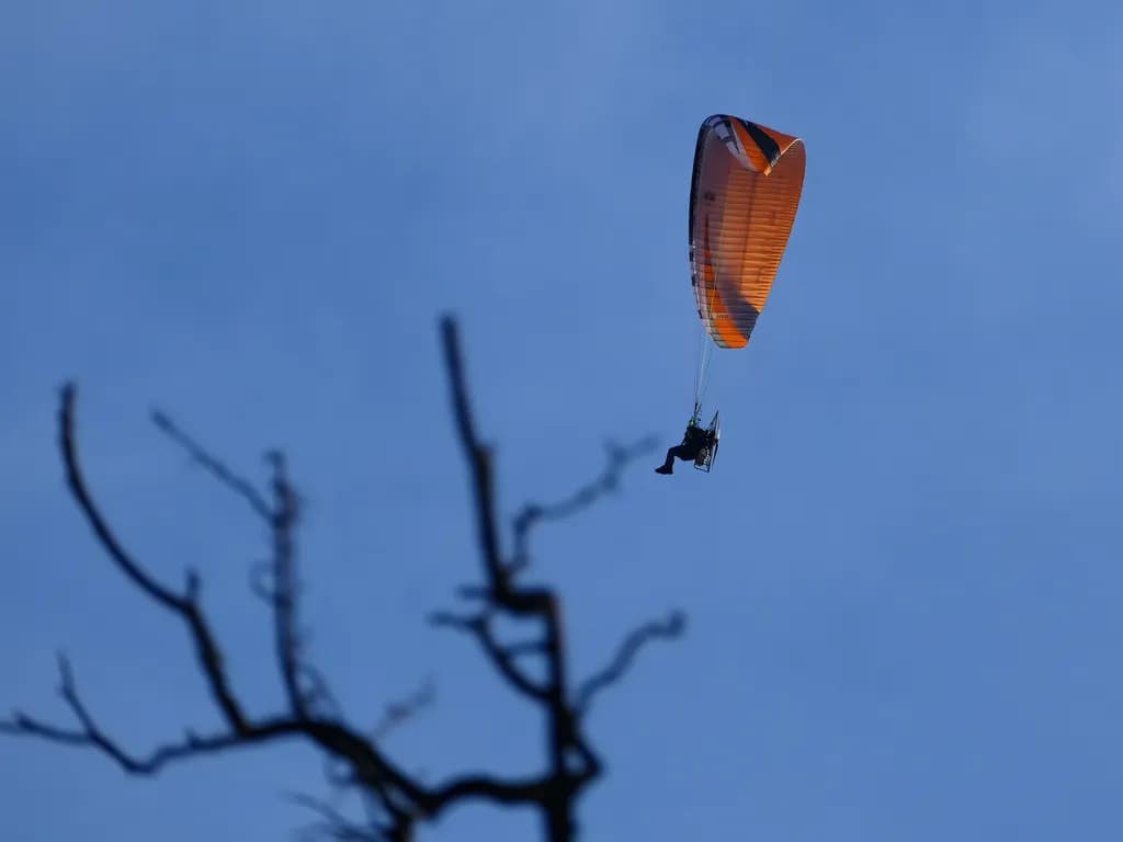 Skyward Adventure