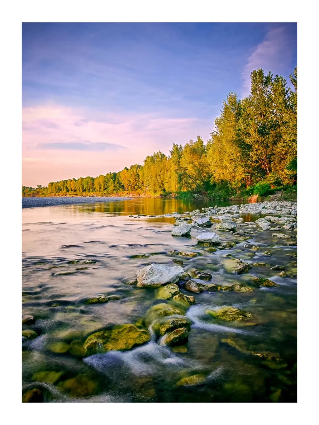 Golden Riverbank